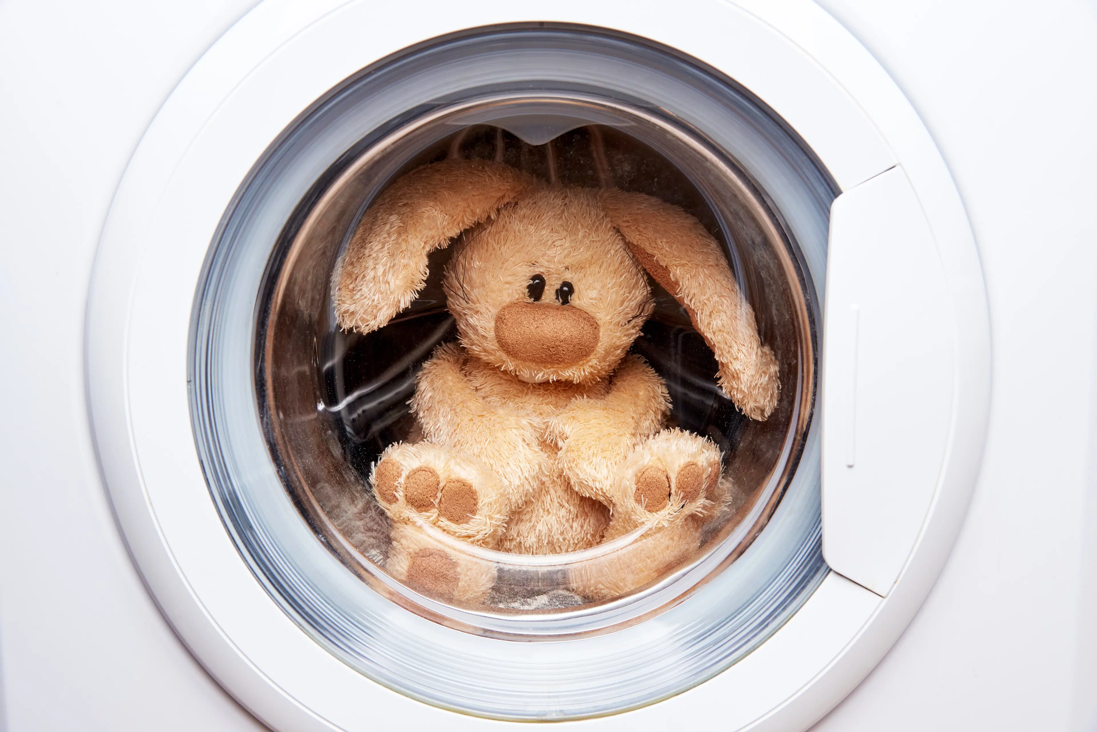Soft Toy Cleaning Service