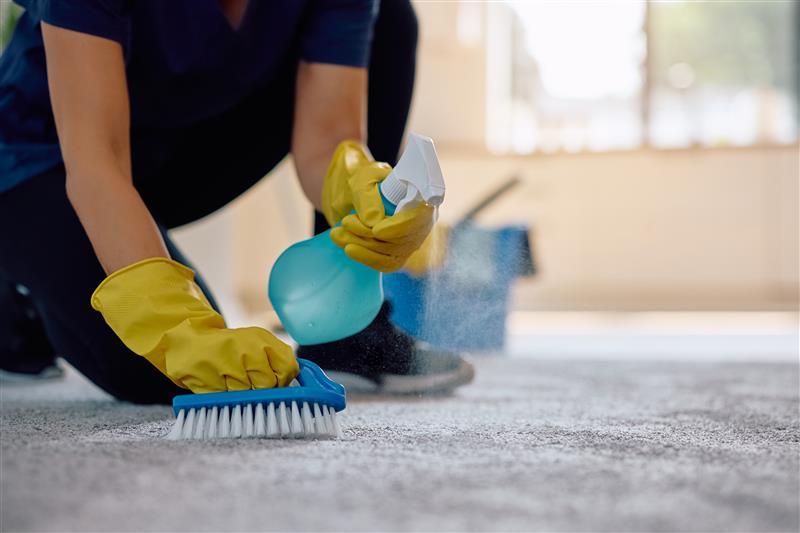 Carpet Cleaning Service gallery image 2